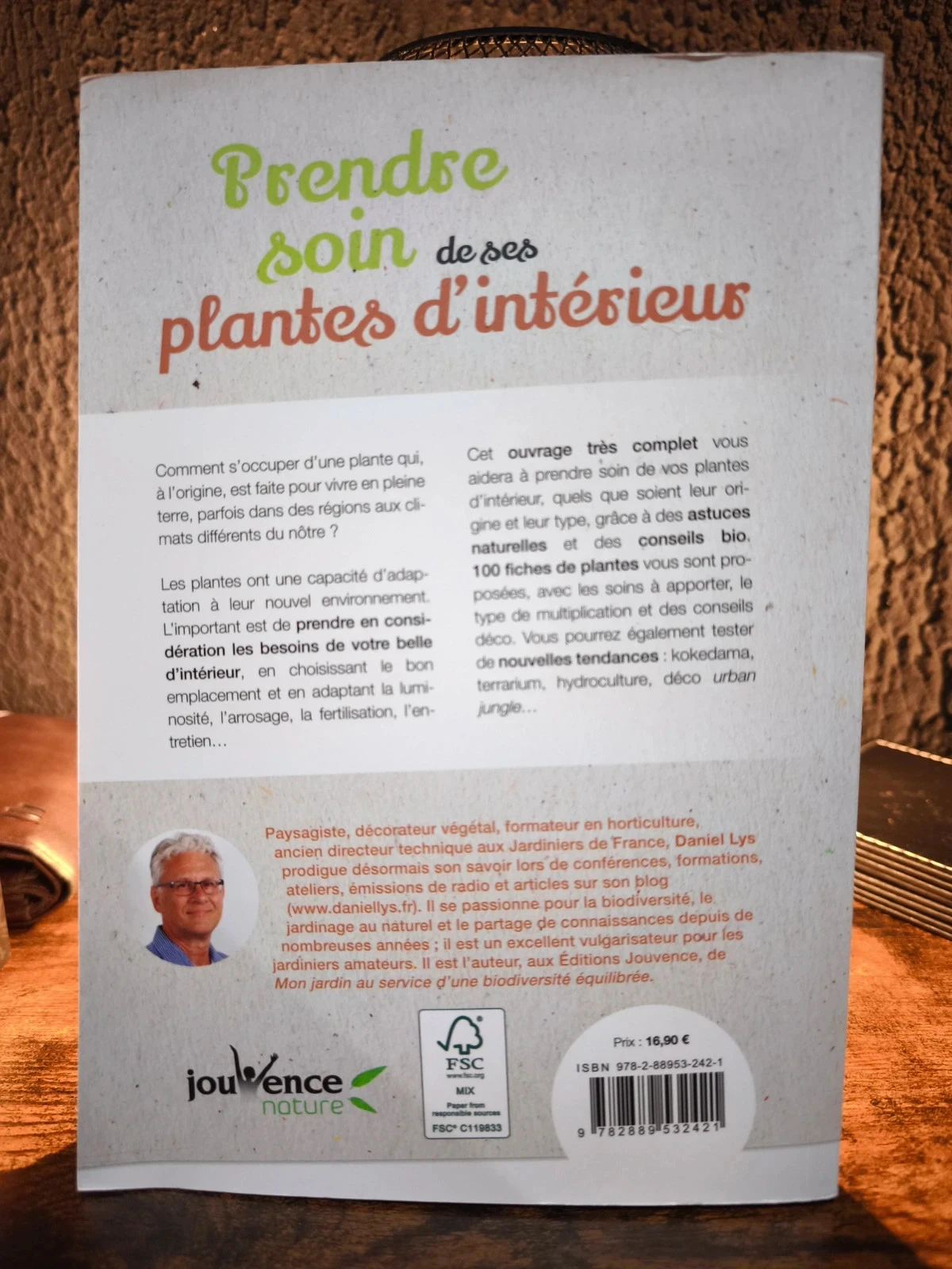 Taking care of your indoor plants – photo 2